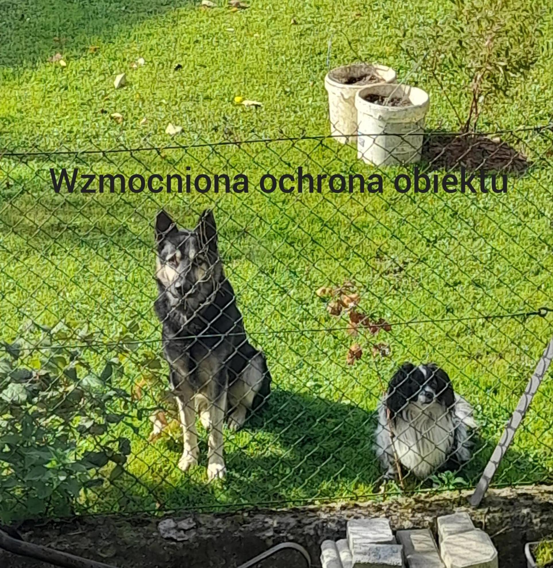 Noclegi Grota Jasło المظهر الخارجي الصورة